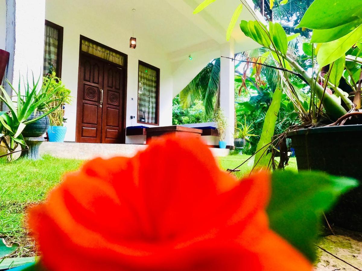 Mountain Seaview Cabanas Tangalle Zewnętrze zdjęcie