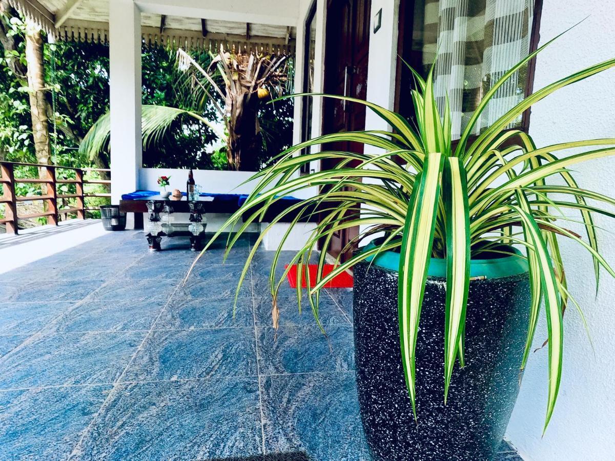 Mountain Seaview Cabanas Tangalle Zewnętrze zdjęcie