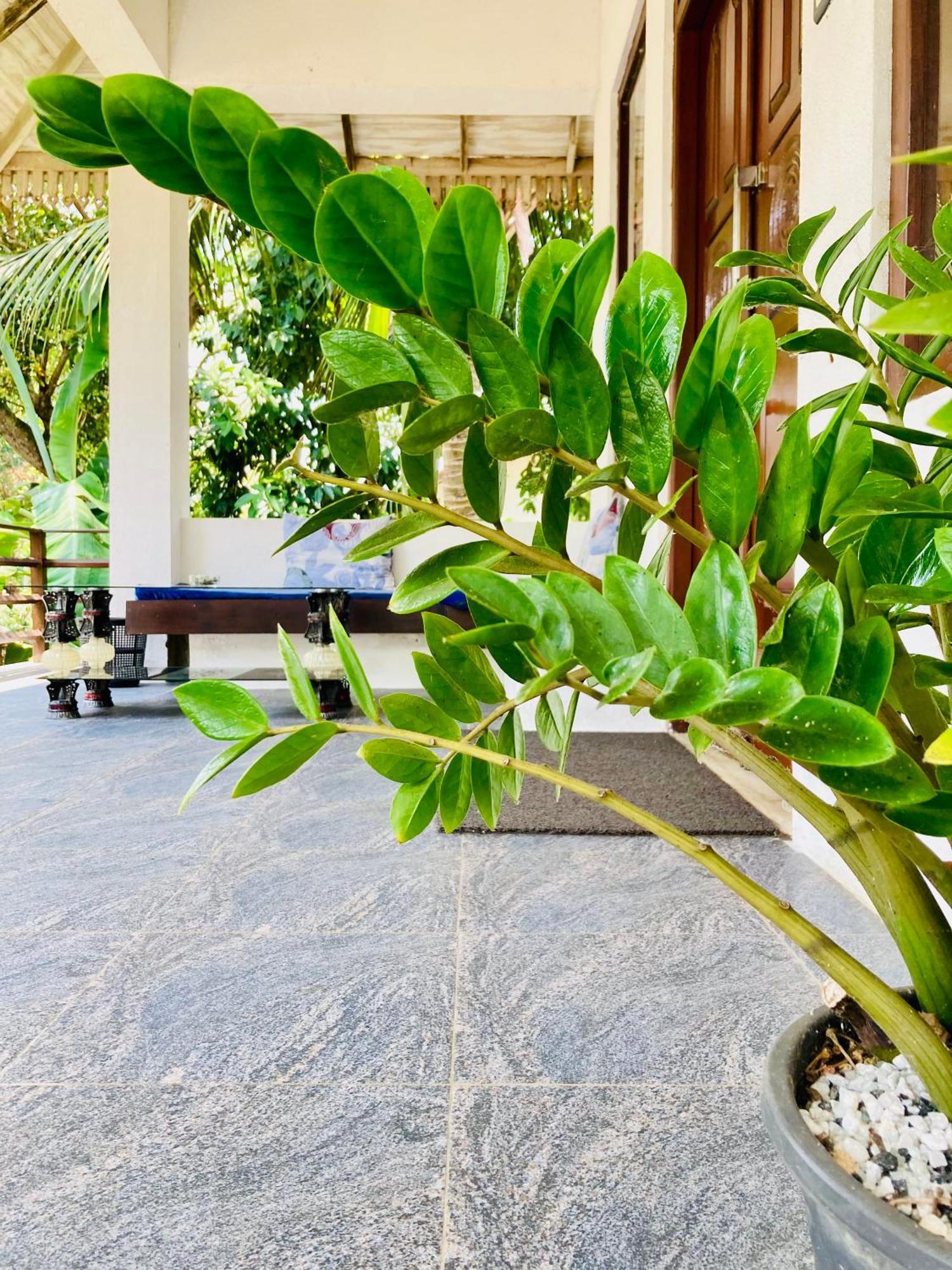 Mountain Seaview Cabanas Tangalle Zewnętrze zdjęcie