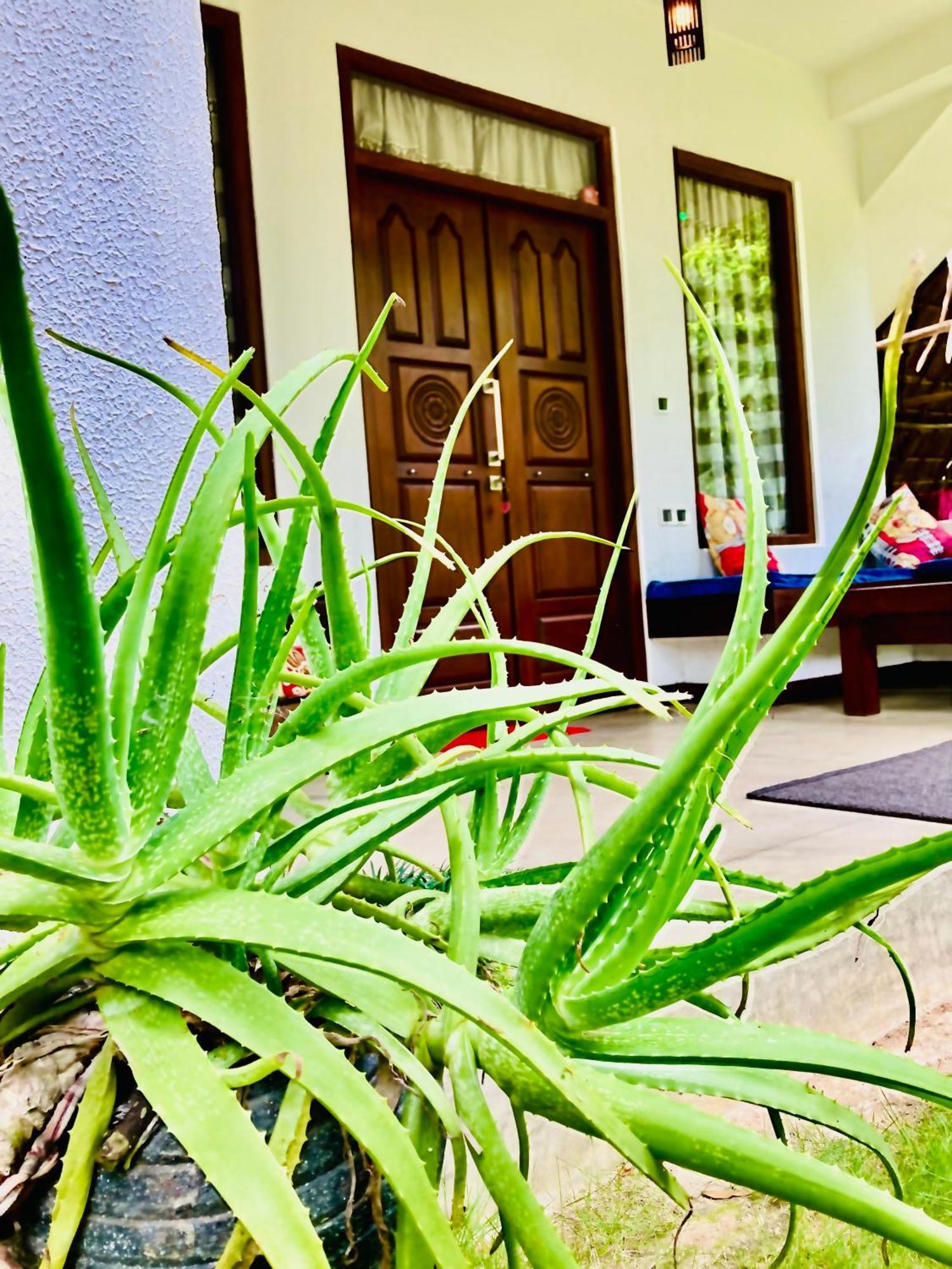 Mountain Seaview Cabanas Tangalle Zewnętrze zdjęcie