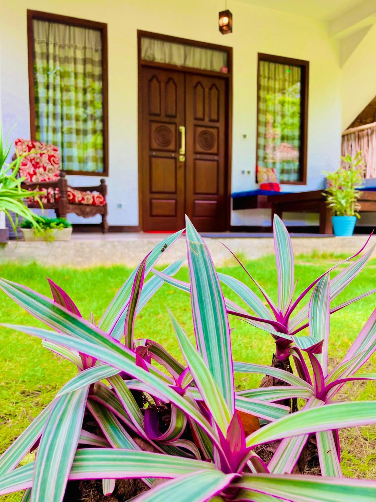 Mountain Seaview Cabanas Tangalle Zewnętrze zdjęcie