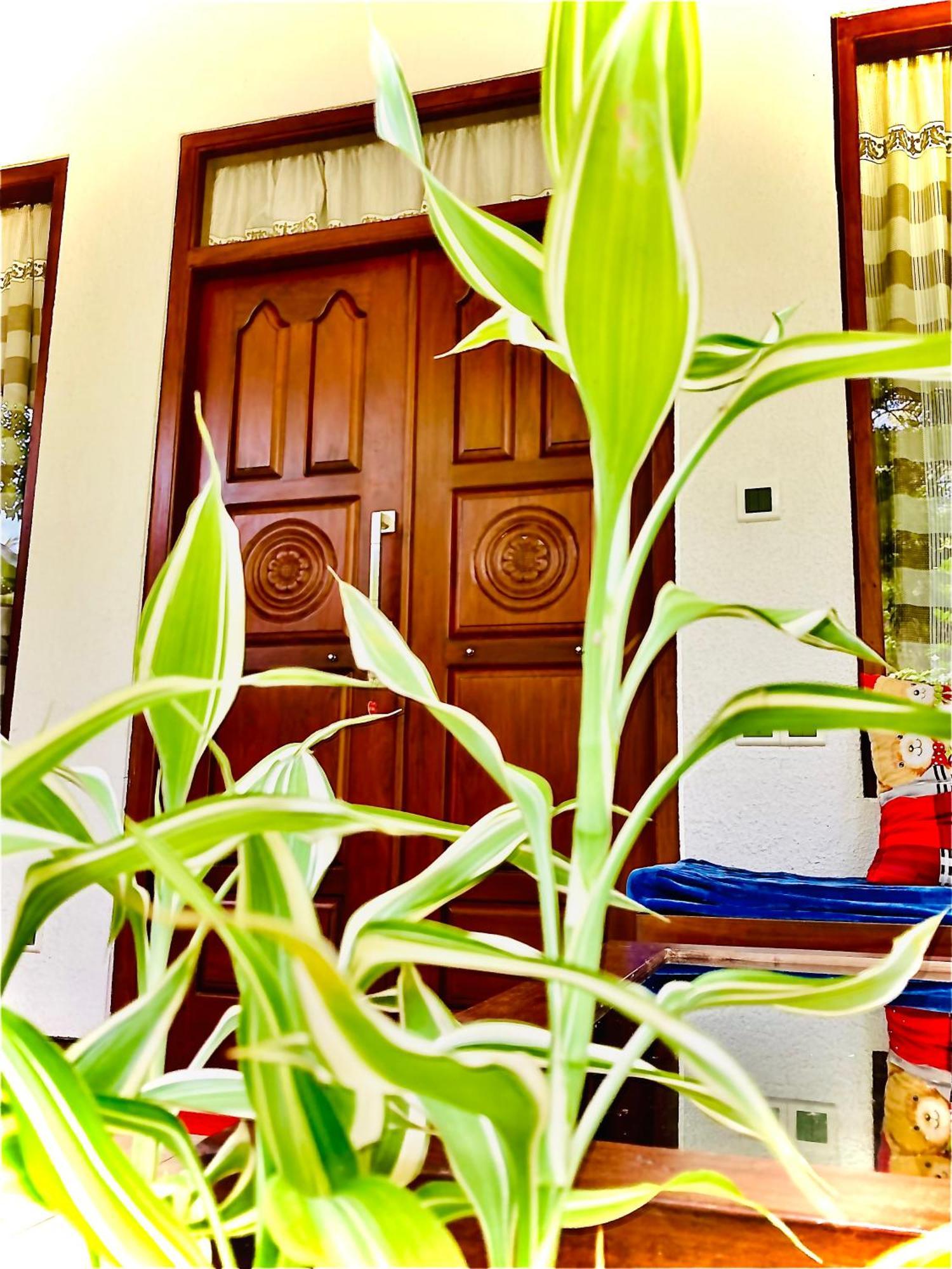 Mountain Seaview Cabanas Tangalle Zewnętrze zdjęcie