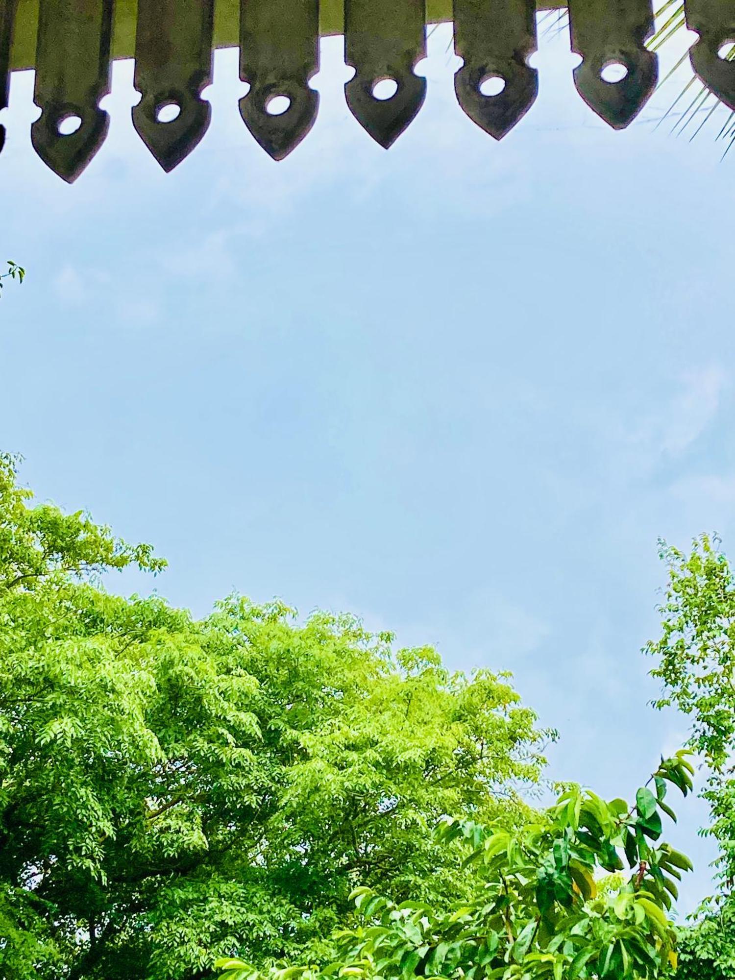 Mountain Seaview Cabanas Tangalle Zewnętrze zdjęcie