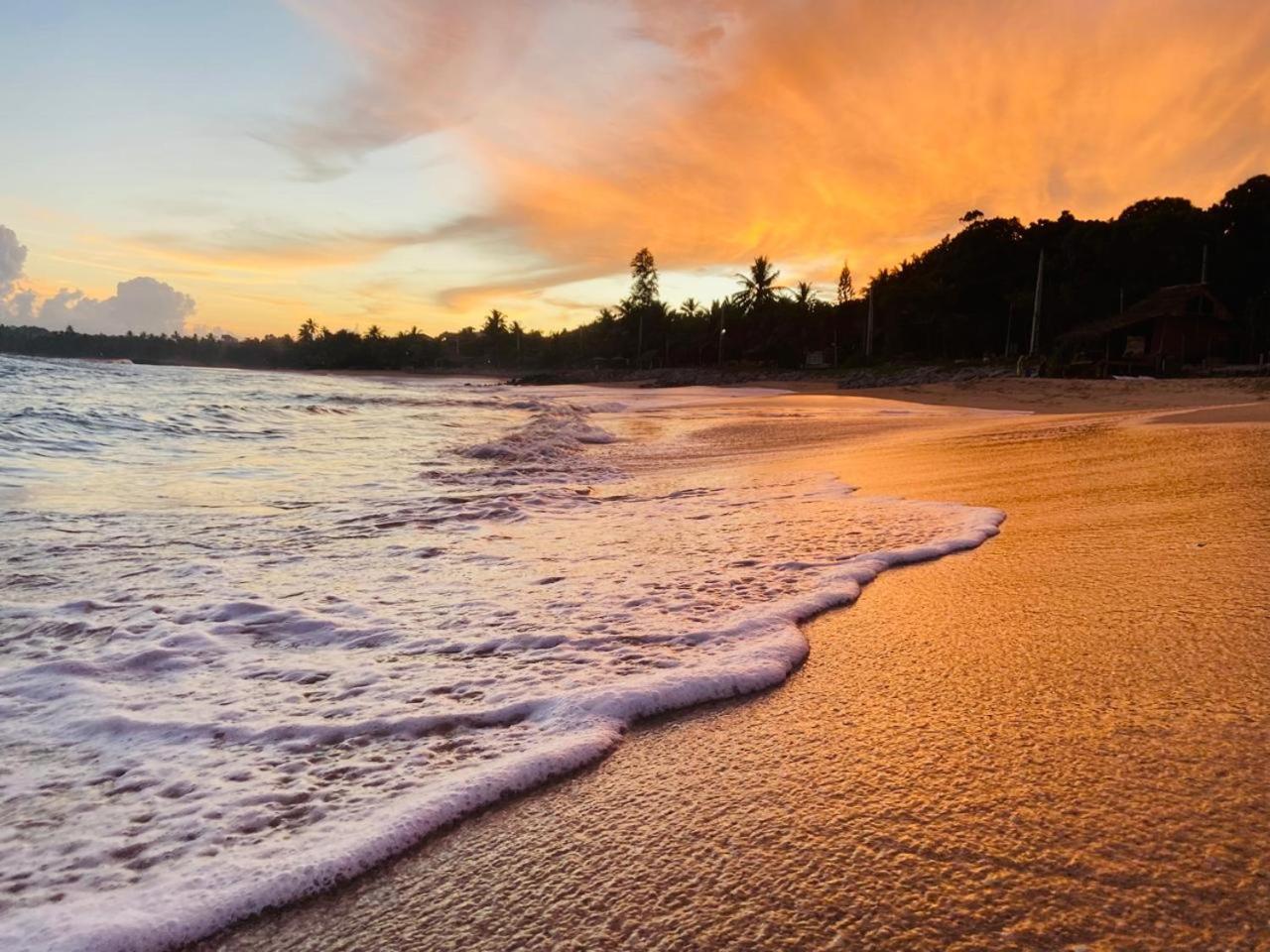 Mountain Seaview Cabanas Tangalle Zewnętrze zdjęcie