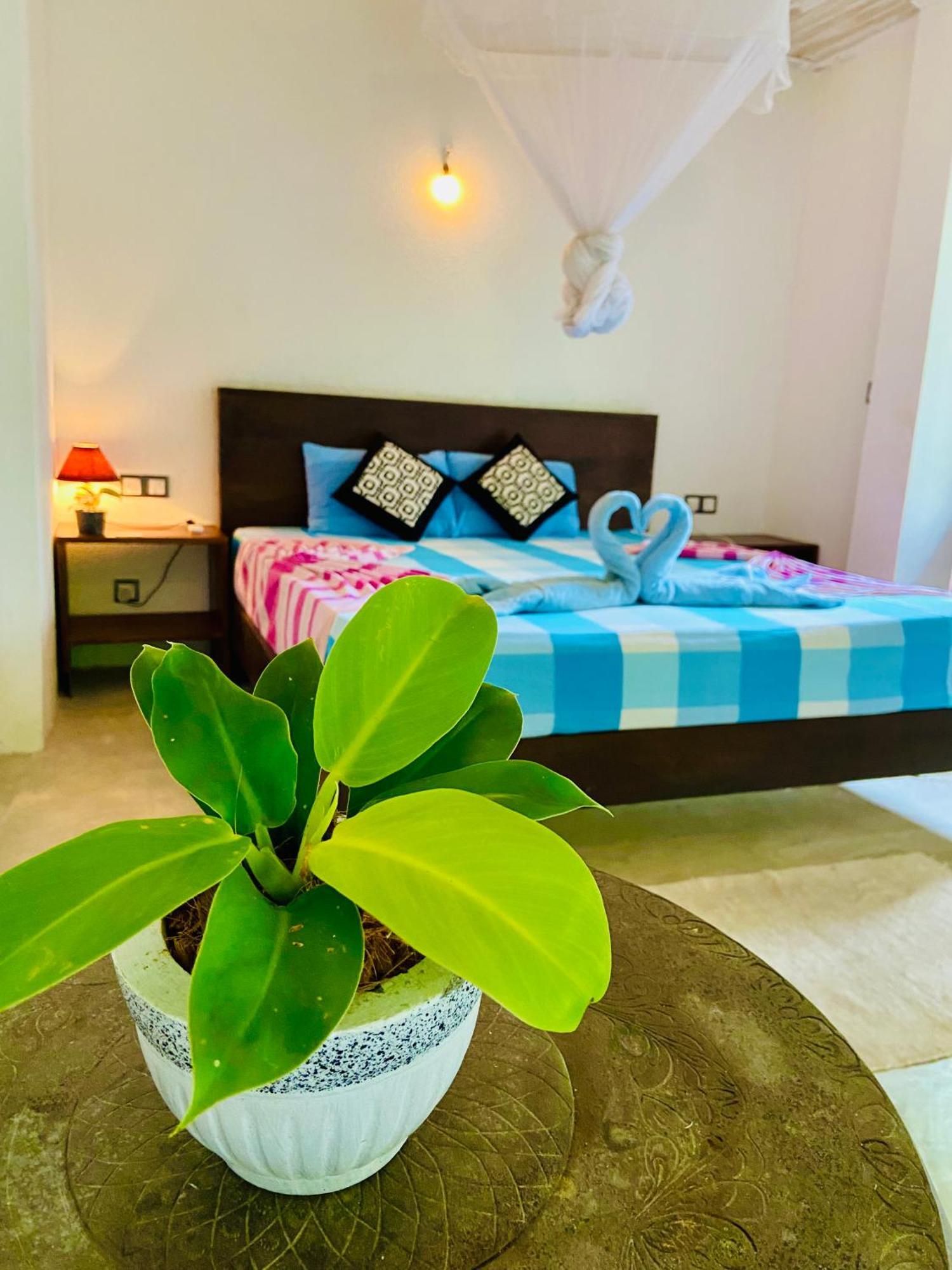 Mountain Seaview Cabanas Tangalle Zewnętrze zdjęcie